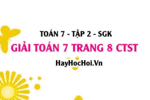 Giải Toán 7 trang 8 tập 2 Chân trời sáng tạo SGK